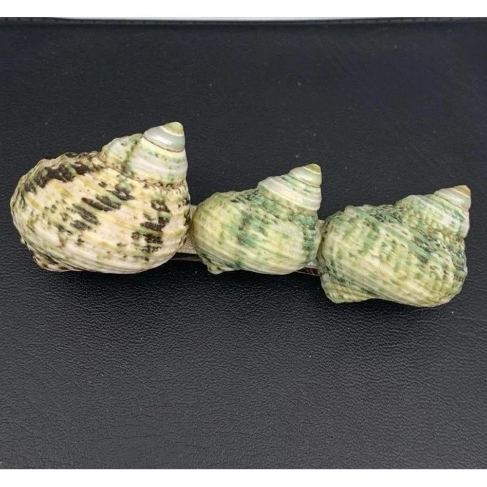 Vintage Chunky Green Speckled Turbo Sea Shell Hair Barrette / Clip Never Worn